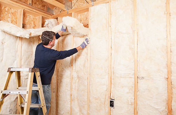 Best Insulation for Metal Buildings  in USA